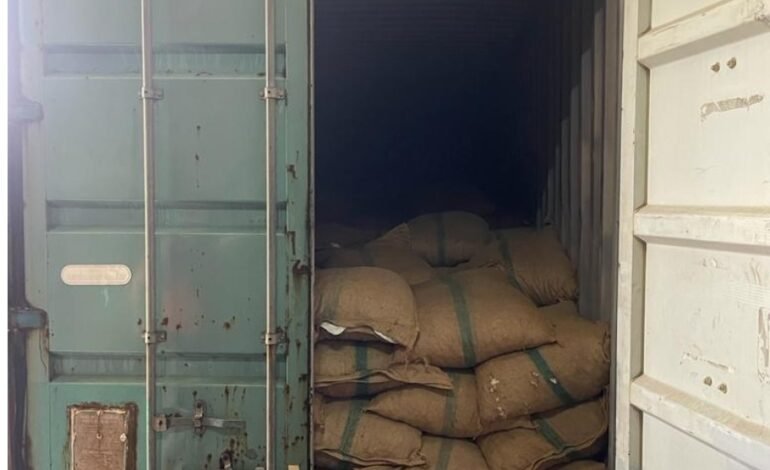 सुपारीची अवैध तस्करी करणाऱ्या टोळीचा महसूल गुप्तचर संचालयाने लावला छडा, पाच जणांना अटक