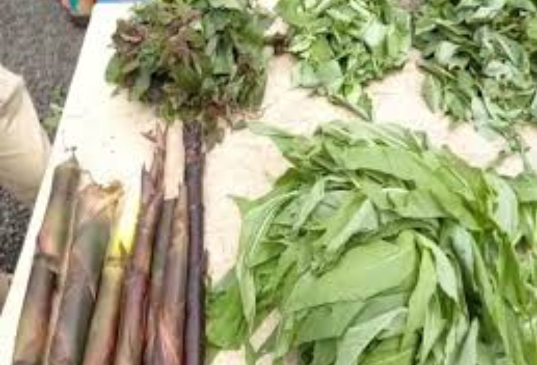 रानभाजी महोत्सवाचे 14 ऑगस्ट रोजी आयोजन,  नागरिकांनी लाभ घेण्याचे कृषि विभागाचे आवाहन