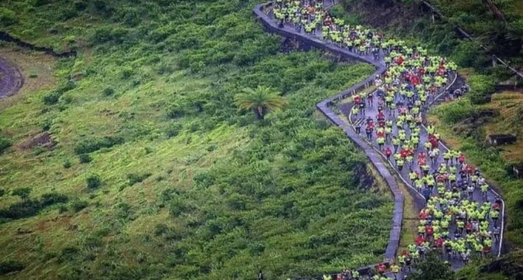हिल हाफ मॅरेथॉन स्पर्धेनिमित्त  सातारा शहरातील अंतर्गत वाहतूक व पार्किंग व्यवस्थेत तात्पुरता बदल