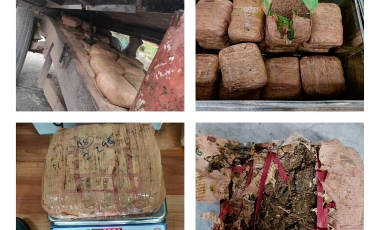 महसूल गुप्तचर संचालनालयाच्या नागपूर शाखेने 42 लाख रुपयांहून अधिक किंमतीचा सुमारे 211 किलो गांजा केला जप्त