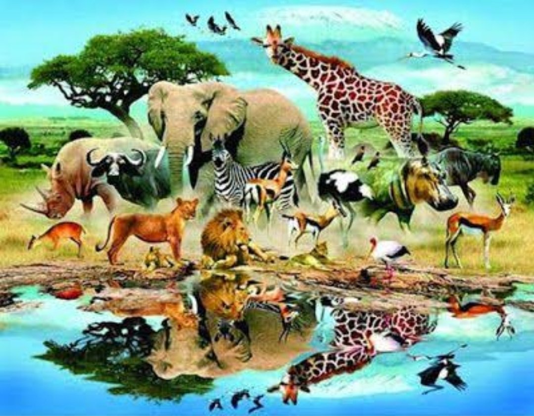 चला मैत्री करूया वन्यजीवांशी