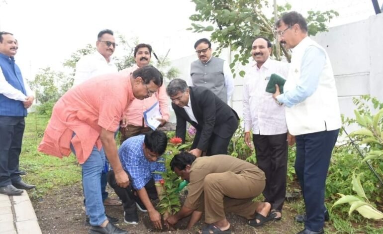 राज्य अधिस्वीकृती समिती सदस्यांकडून पिंपरी चिंचवड विद्यापीठ परिसरात वृक्षारोपण