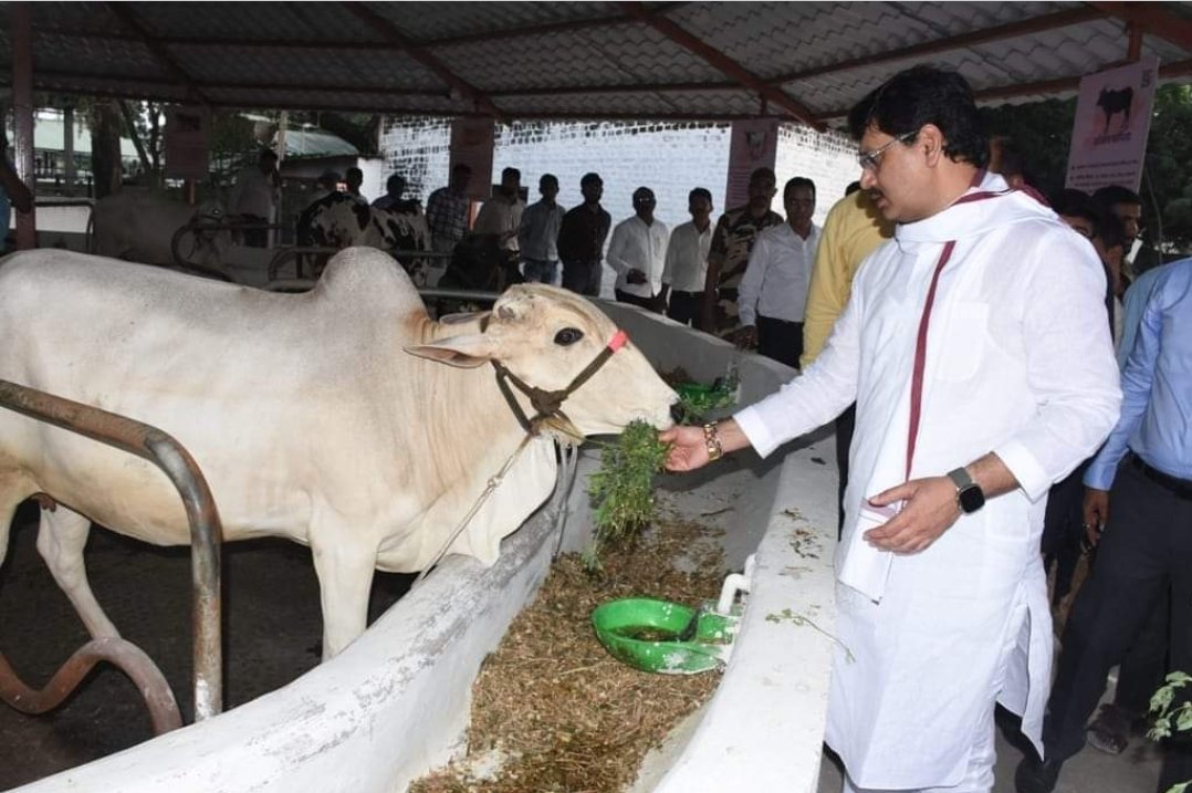 कृषी मंत्री धनंजय मुंडे यांची देशी गाय संशोधन व प्रशिक्षण केंद्राला भेट