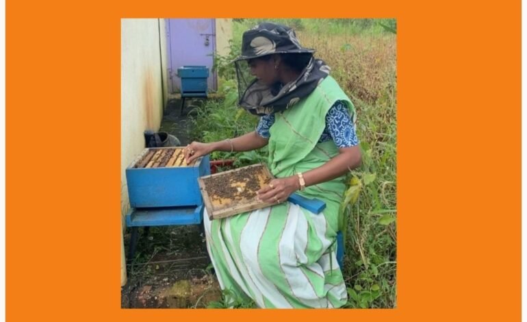 अण्णासाहेब पाटील आर्थिक मागास विकास महामंडळाच्या मतदीने रोहिणी पाटील यांनी उभारला मधूमक्षिका पालन व्यवसाय