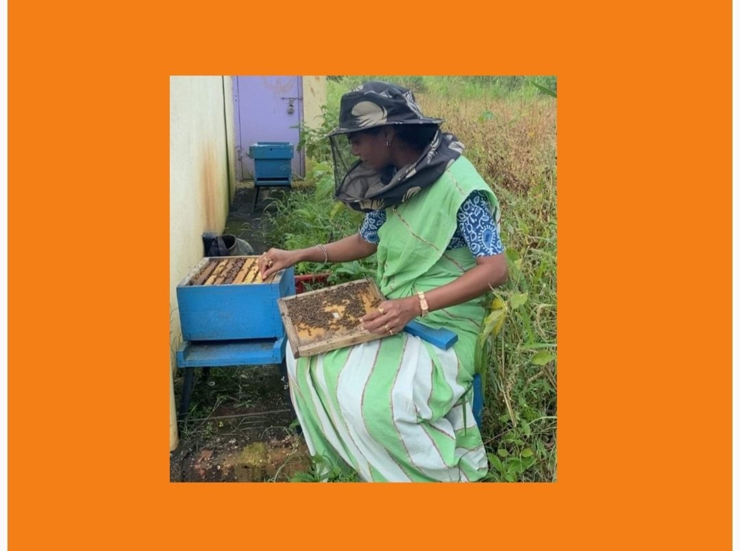 अण्णासाहेब पाटील आर्थिक मागास विकास महामंडळाच्या मतदीने रोहिणी पाटील यांनी उभारला मधूमक्षिका पालन व्यवसाय