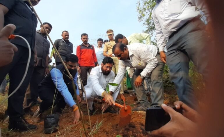 दरे येथे मुख्यमंत्री एकनाथ शिंदे यांच्या हस्ते बांबू लागवड