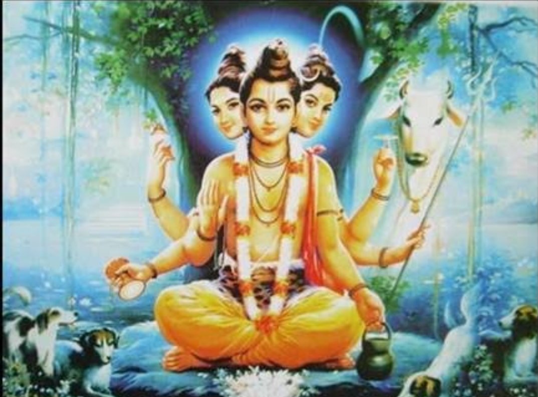 दत्त जयंती साजरी करूयात एक उंबराचे झाड लावूनच, कारण जगातील सर्वात जास्त किफायतशीर झाड हे उंबर आहे