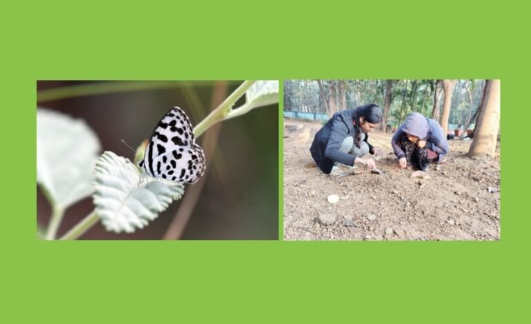 पश्चिम घाटातील 30,000 हून अधिक जीवजंतूंचे भारतीय प्राणी सर्वेक्षणमार्फत दस्तऐवजीकरण, DNA अहवालाचे कामही वेगाने सुरू