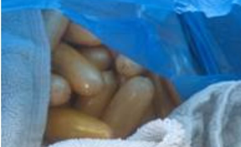 डीआरआयने सुमारे 15 कोटी रुपयांचे 1.5 किलो पेक्षा अधिक कोकेन केले जप्त, नायजेरियन नागरिकासह दोघांना अटक