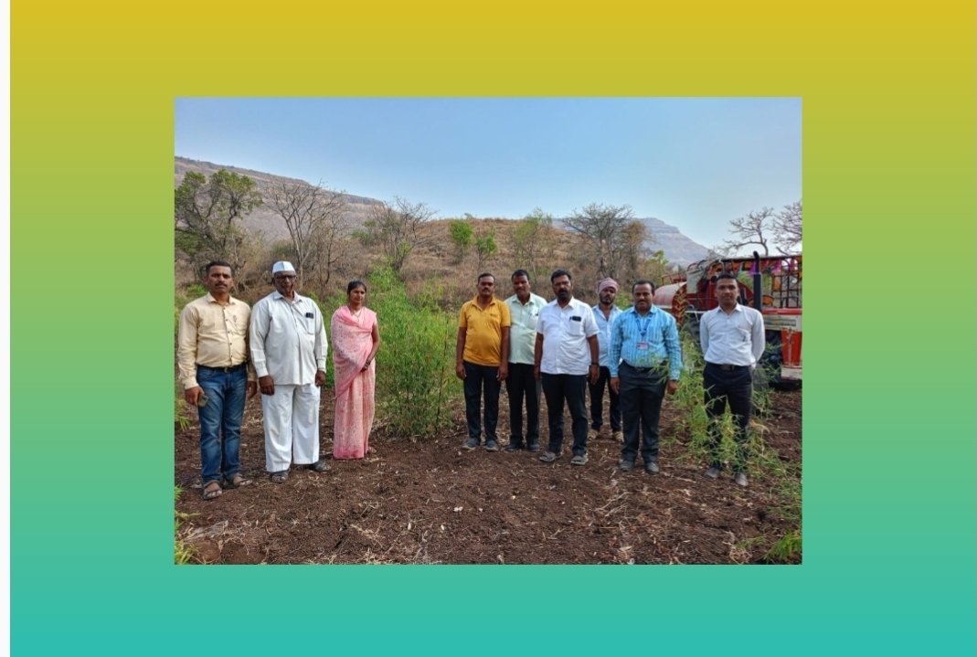 मग्रारोहयो योजनेअंतर्गत बांबु लागवड कार्यक्रम शेतकऱ्यांसाठी फायदेशीर ; बापुसाहेब शेळके, जिल्हा कृषी अधिकारी