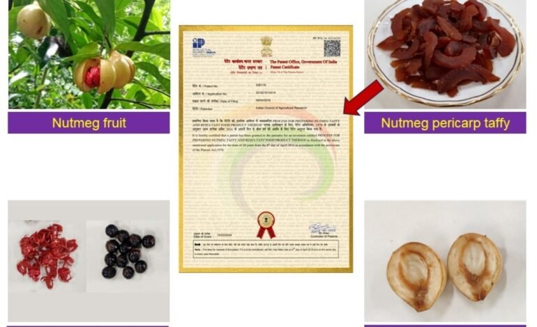 आयसीएआर – सीसीएआरआय गोव्याच्या ‘जायफळ टॅफी’ आविष्काराला मिळाले पेटंट