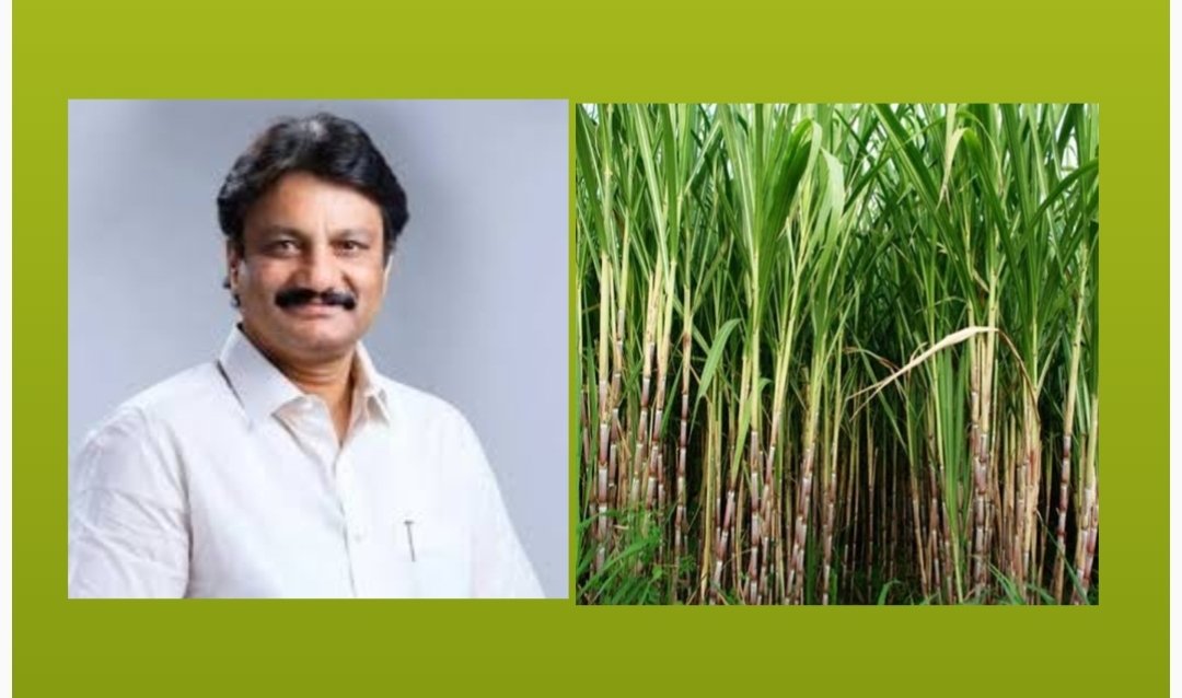 बदलत्या हवामान परिस्थितीत पर्यावरण पूरक खोडवा ऊसाच्या शाश्वत व विक्रमी उत्पादन वाढीसाठी कुशल प्रशिक्षक निर्मिती कार्यशाळा