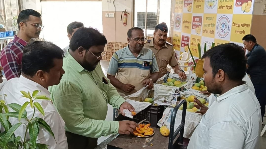 आंबा महोत्सवास जिल्हाधिकारी डॉ. राजा दयानिधी यांची भेट