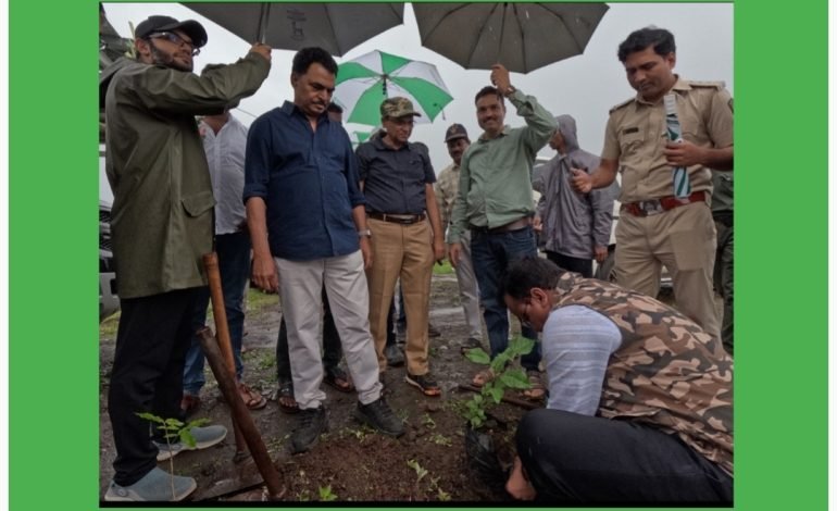 सयाजी शिंदे यांच्या हस्ते भर पावसात वृक्षारोपण संपन्न