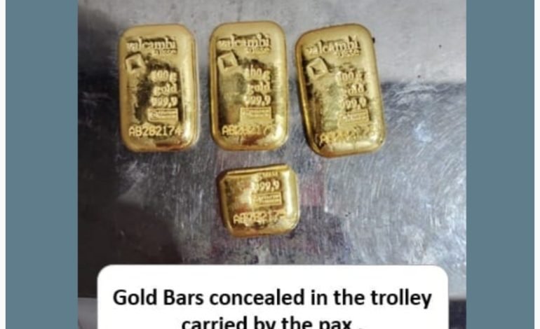 सीमाशुल्क विभागानं गेल्या दोन आठवड्यात मुंबई विमानतळावर 20 किलो सोने, गांजा आणि विदेशी चलन केले जप्त