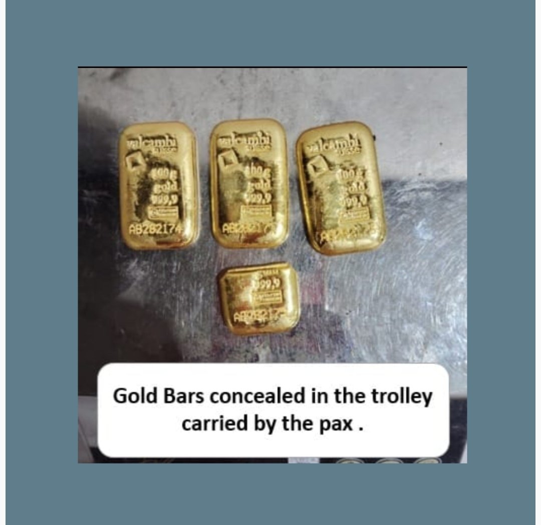 सीमाशुल्क विभागानं गेल्या दोन आठवड्यात मुंबई विमानतळावर 20 किलो सोने, गांजा आणि विदेशी चलन केले जप्त