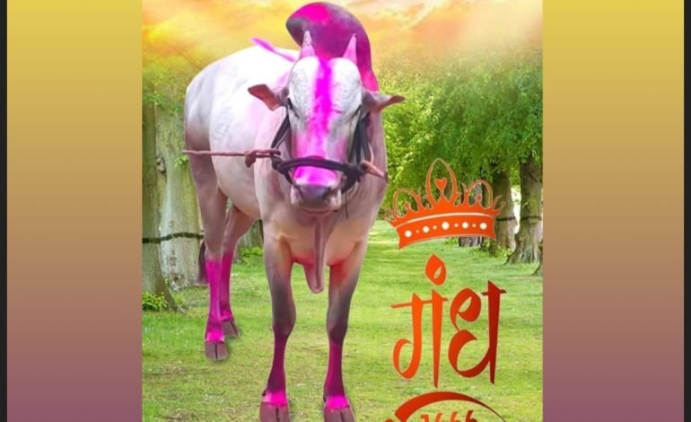 बैलगाडा शौकिनांना ‘आनंद’ देणारा ‘गंध’ हरपला…