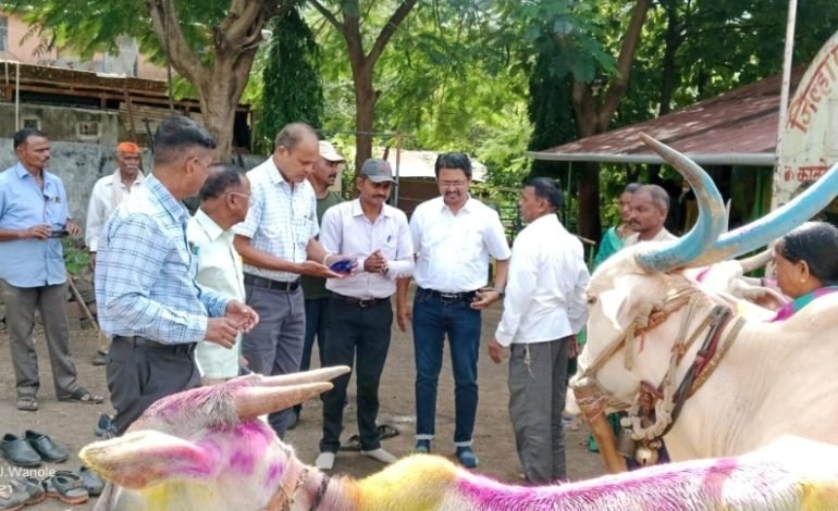 परळी पशुवैद्यकीय दवाखान्यातर्फे लाळ्या खुरकत जनजागरण रॅली