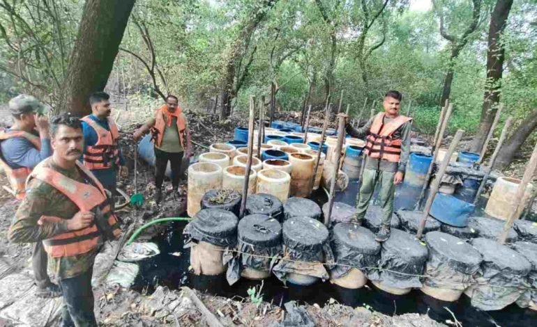 राज्य उत्पादन शुल्क विभागाची कारवाई;  ठाण्यात 20.75 लाख किंमतीचा मुद्देमाल जप्त