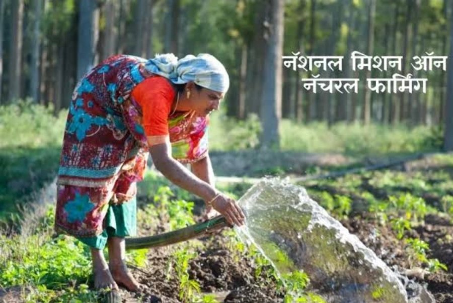 शेतकऱ्यांच्या उन्नतीसाठी राष्ट्रीय नैसर्गिक शेती मिशन