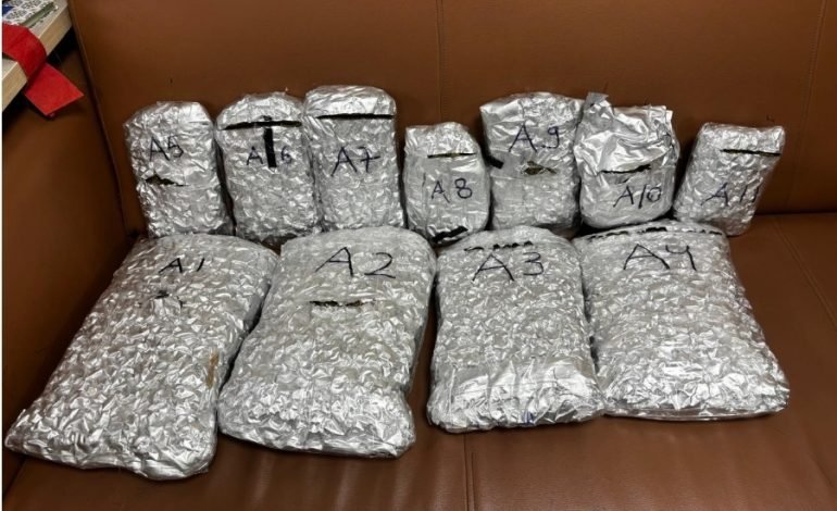 मुंबई सीमाशुल्क विभाग झोन-III कडून सीएसएमआय विमानतळावर ₹5.11 कोटींचा हायड्रोपोनिक गांजा जप्त