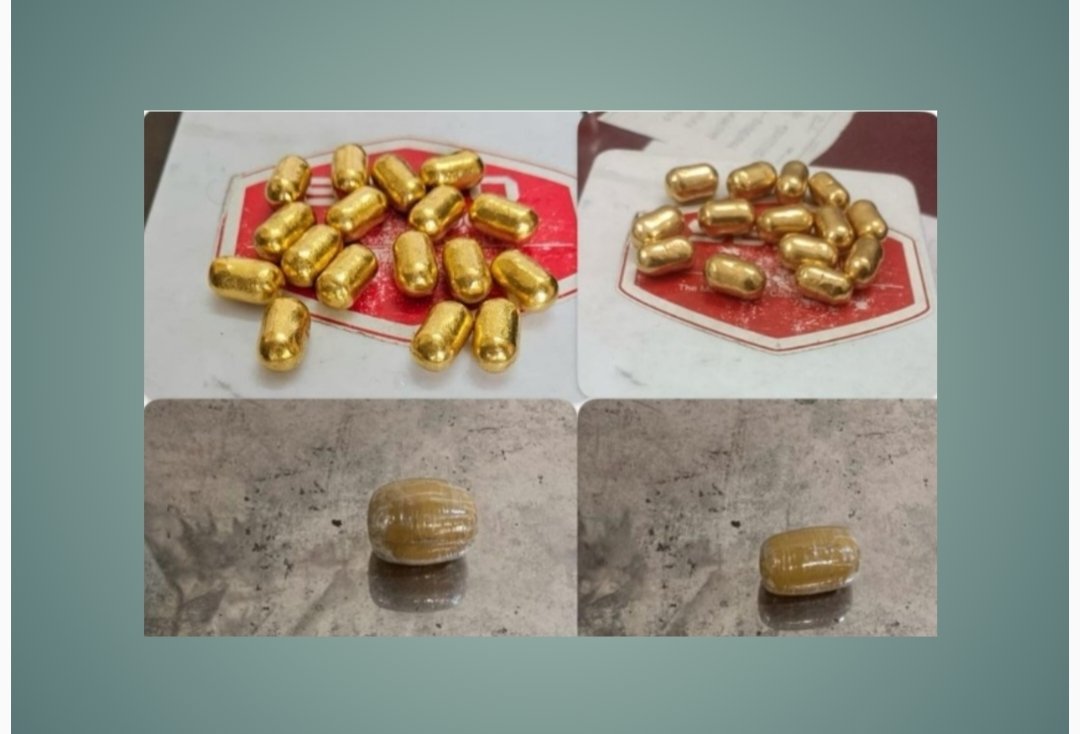 सीमा शुल्क विभागाच्या मुंबई शाखेने काल छत्रपती शिवाजी महाराज आंतरराष्ट्रीय विमानतळावर केलेल्या वेगवेगळ्या कारवायांमध्ये 11 कोटी रुपयांहून अधिक किमतीचा  गांजा (हायड्रोपोनिक वीड), परदेशी वन्यजीव आणि सोने केले जप्त.