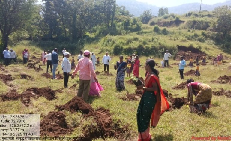 मुख्यमंत्री समृद्ध पंचायतराज अभियानांतर्गत वाई तालुक्यात 10 हजार वृक्षांची लागवड