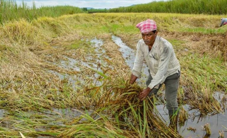 शेतकऱ्यांच्या कर्जमाफीसाठी उच्चाधिकार समिती गठीत