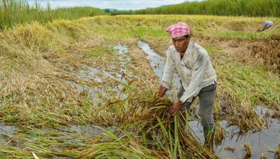 शेतकऱ्यांच्या कर्जमाफीसाठी उच्चाधिकार समिती गठीत
