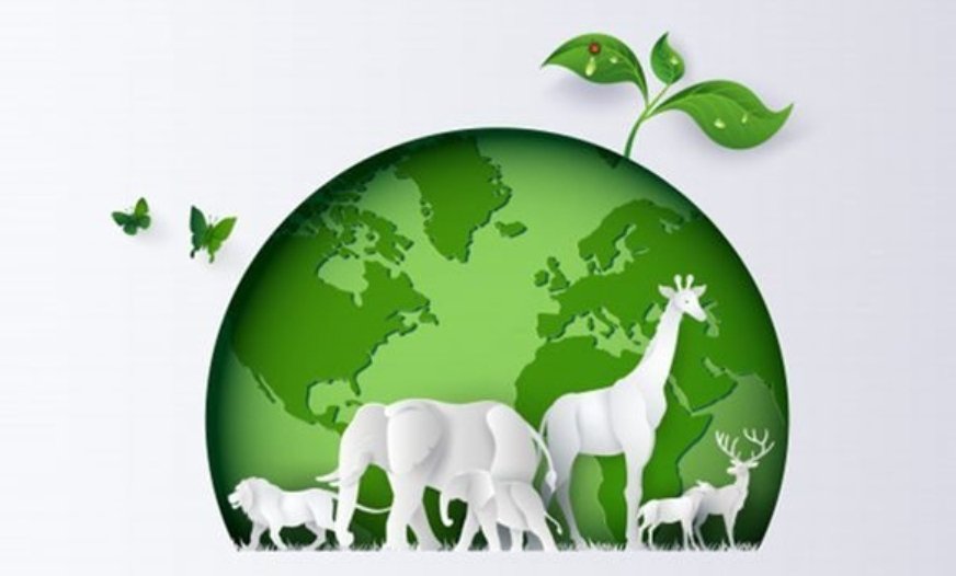 राष्ट्रीय जैवविविधता प्राधिकरणाने पहिल्यांदाच पेटंट संबंधित लाभवाटपाच्या रुपात 43.22 लाखांची रक्कम लाभधारकांना केली वितरित