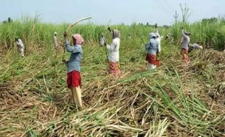 अद्यापही ऊसदर जाहीर न केलेल्या कारखान्यांनी त्वरित दर जाहीर करावा – जिल्हाधिकारी संतोष पाटील