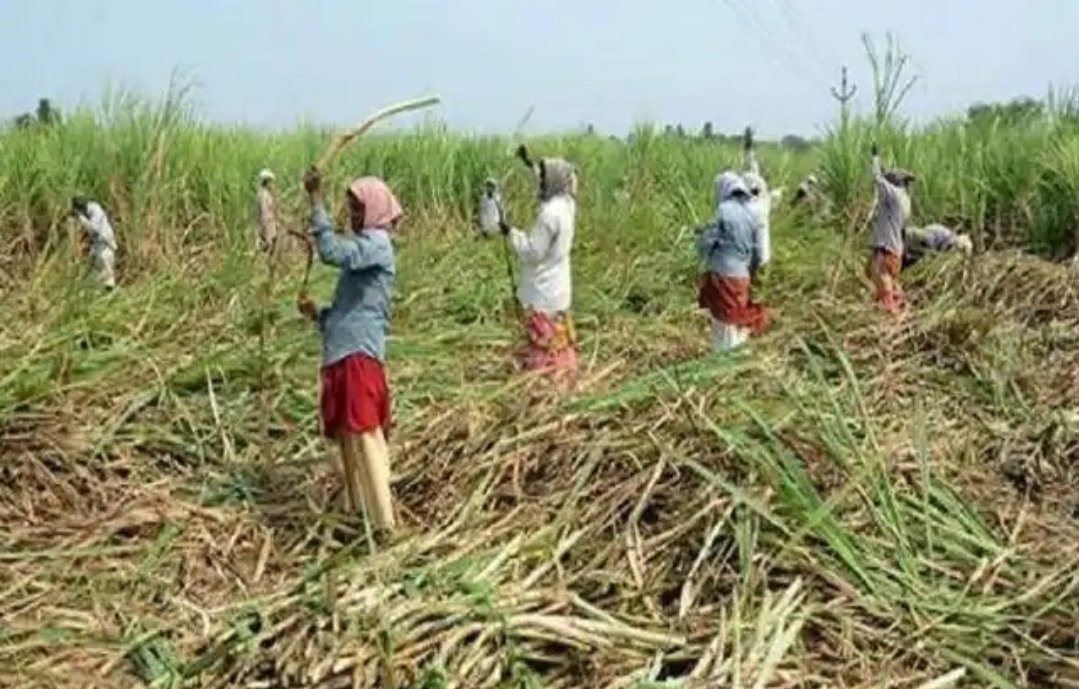 अद्यापही ऊसदर जाहीर न केलेल्या कारखान्यांनी त्वरित दर जाहीर करावा – जिल्हाधिकारी संतोष पाटील