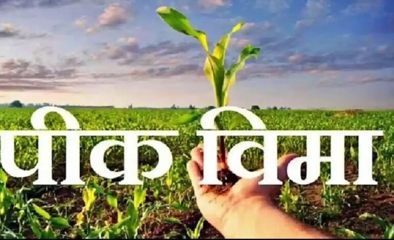 महाराष्ट्रातील शेतकऱ्यांना पीएम-किसान आणि प्रधानमंत्री पीक विमा योजनेचा  विस्तारित लाभ ;