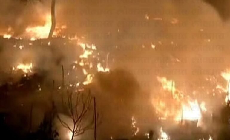 बीडजवळील ‘सह्याद्री देवराई’ला भीषण आग; अभिनेता सयाजी शिंदे यांच्या पर्यावरणीय संकल्पनेला मोठा धक्का