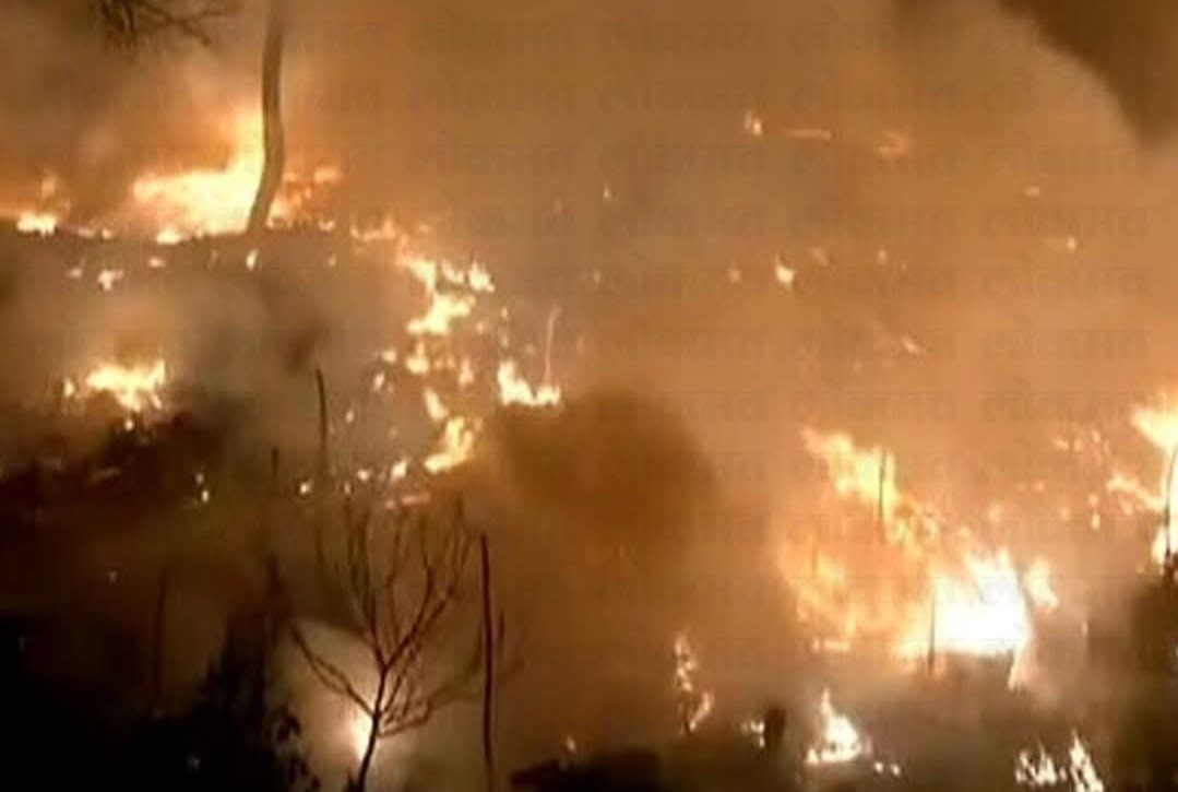 बीडजवळील ‘सह्याद्री देवराई’ला भीषण आग; अभिनेता सयाजी शिंदे यांच्या पर्यावरणीय संकल्पनेला मोठा धक्का