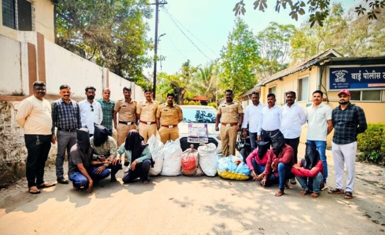 तांबेचीतार चोरी प्रकरणी वाई गुन्हेप्रकटीकरण विभागाची मोठी कारवाई