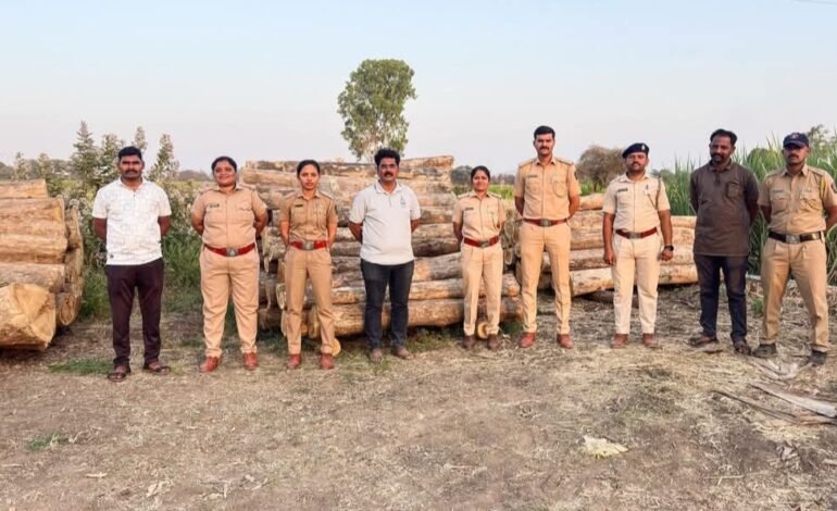 उंब्रज परिसरात वनविभागाची धडक कारवाई; अवैध साग-रायवळ लाकूडसाठा जप्त