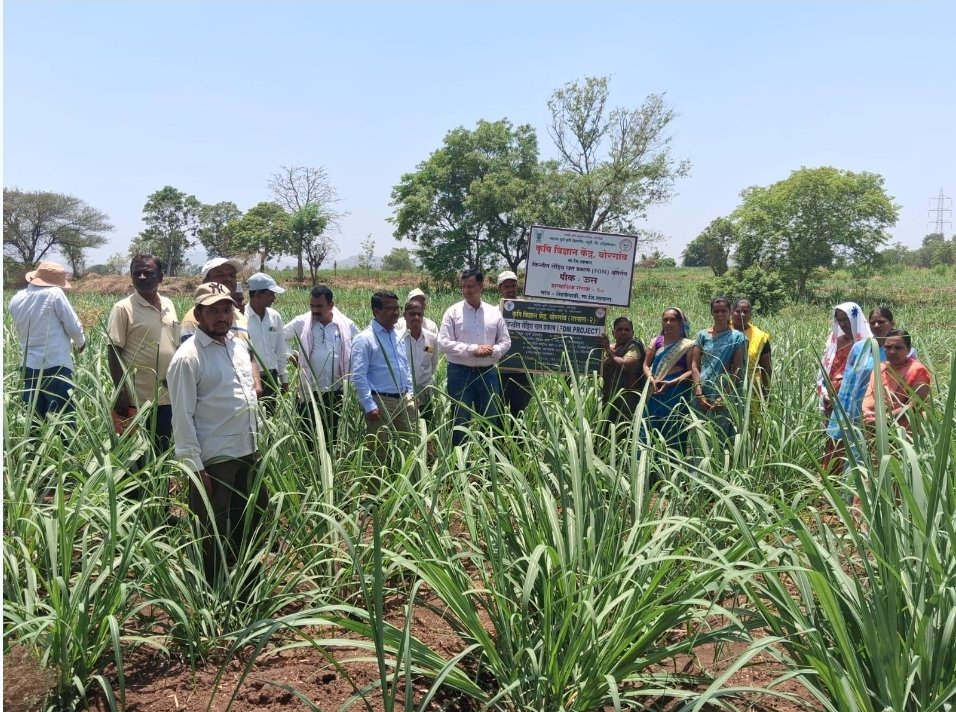 जमीन आरोग्य व्यवस्थापनासाठी एकात्मिक खत व्यवस्थापन आवश्यक :डॉ संग्राम काळे