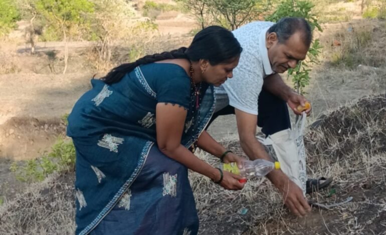 सीड बॉलच्या माध्यमातून हिरव्या भविष्यासाठी अनोखा संकल्प!