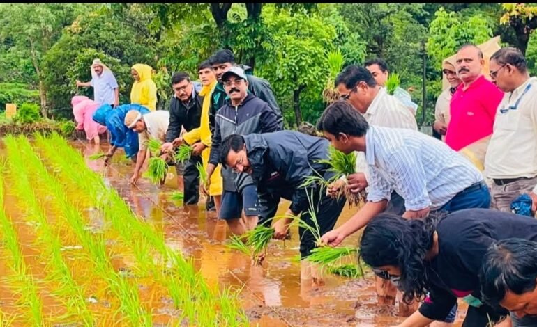 ‘एक दिवस बळीराजासाठी’ उपक्रमांतर्गत मौजे बाहुळे येथे भात लावणी व शेतकरी संवाद संपन्न