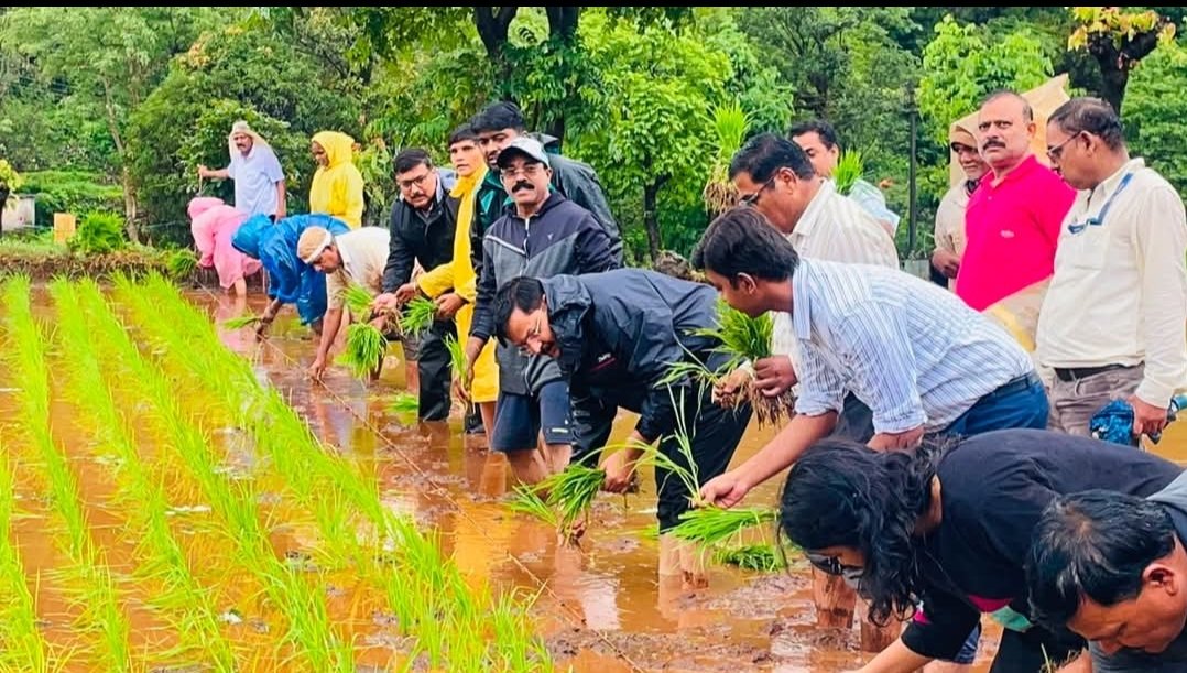 ‘एक दिवस बळीराजासाठी’ उपक्रमांतर्गत मौजे बाहुळे येथे भात लावणी व शेतकरी संवाद संपन्न