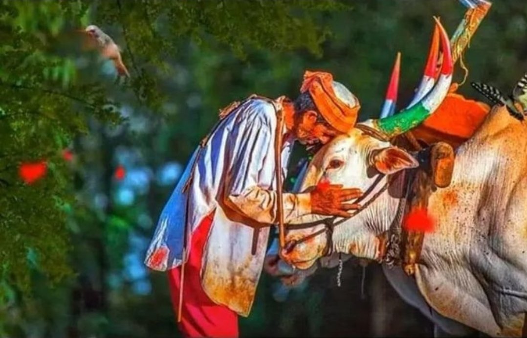 बेंदूर – कृतज्ञतेच्या संस्कारांचा आणि कृषिसंस्कृतीच्या आत्म्याचा उत्सव
