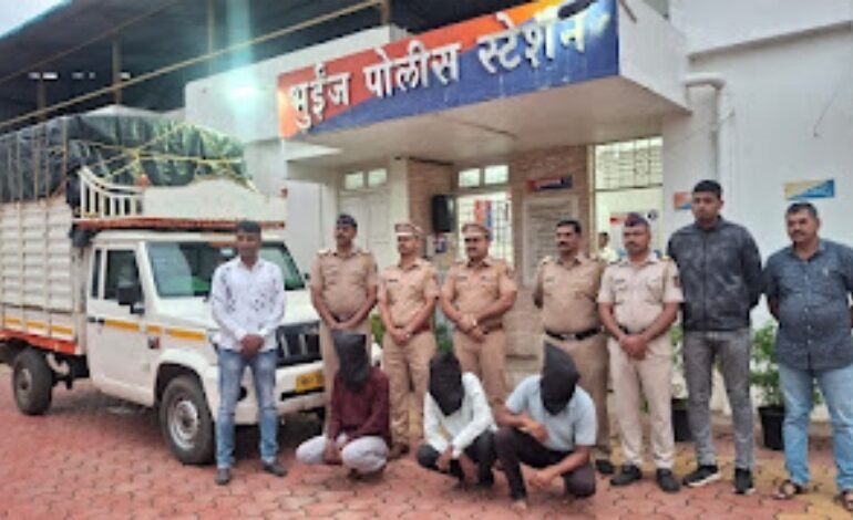 गोठ्यातील जनावरांवर डल्ला मारणारी ‘पिकअप गँग’ जेरबंद